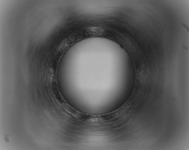 X0000103460752200809121603