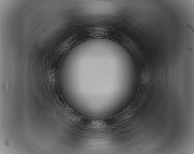 X0000103460753200809121603