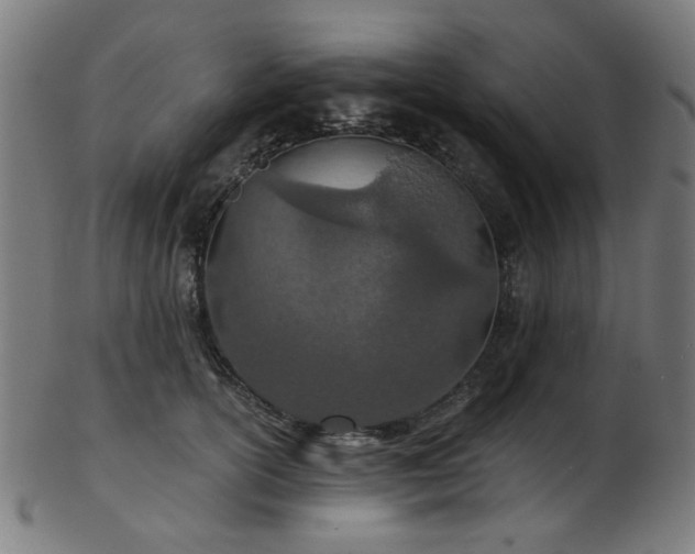 X0000103460754200809121603