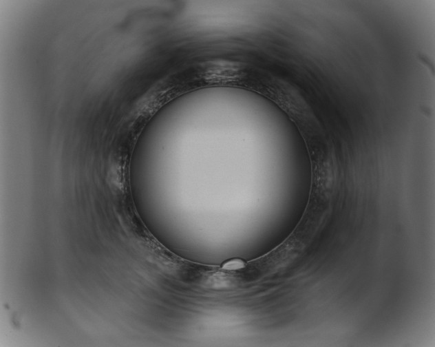 X0000103460755200809121603