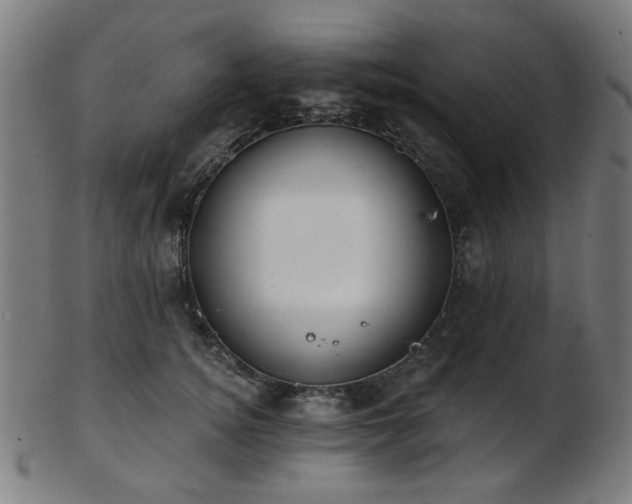 X0000103460756200809121603