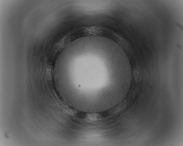 X0000103460757200809121603