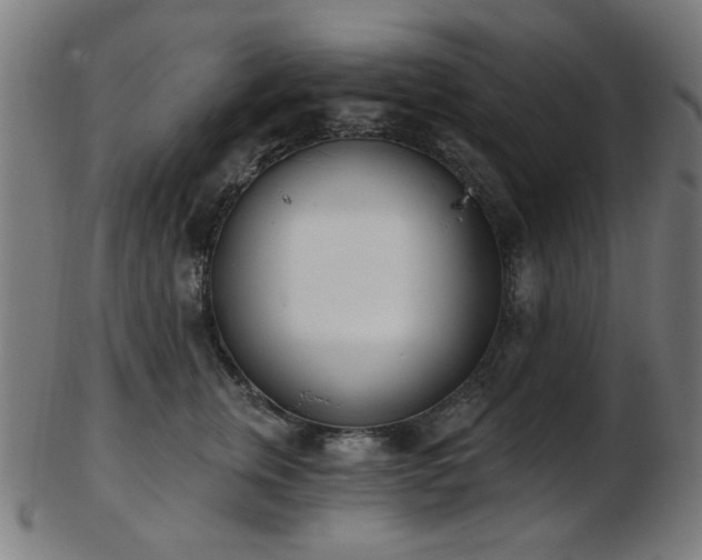 X0000103460759200809121603