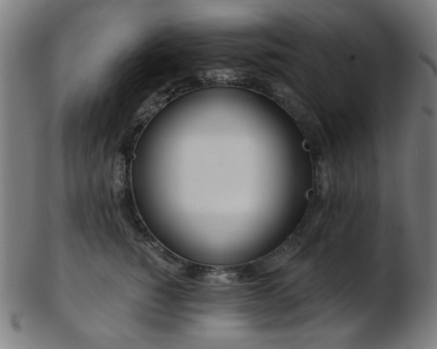 X0000103460760200809121603