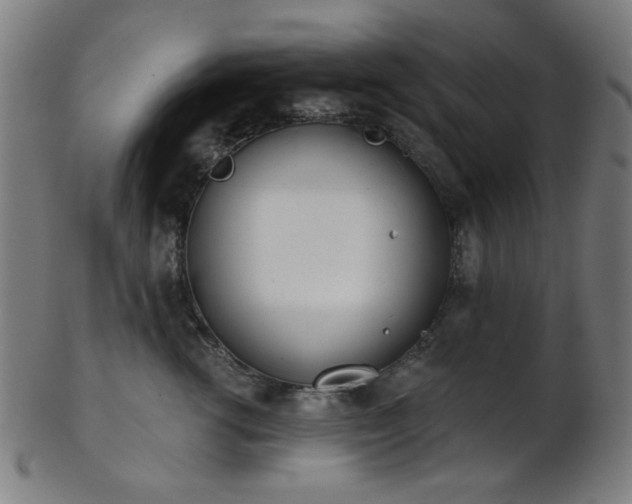 X0000103460762200809121603