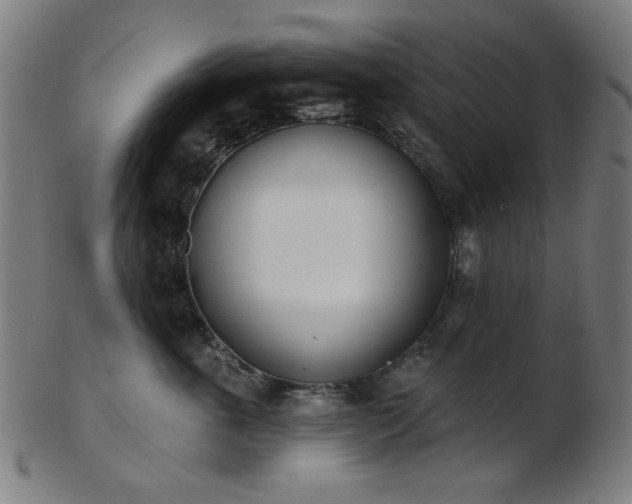 X0000103460763200809121603