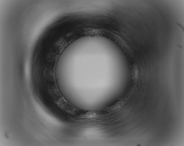 X0000103460764200809121603