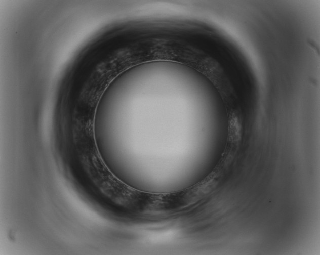 X0000103460765200809121603