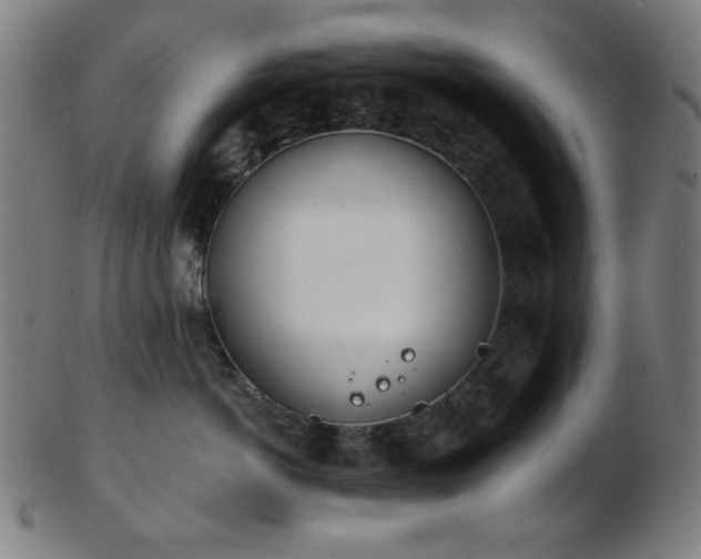 X0000103460766200809121603