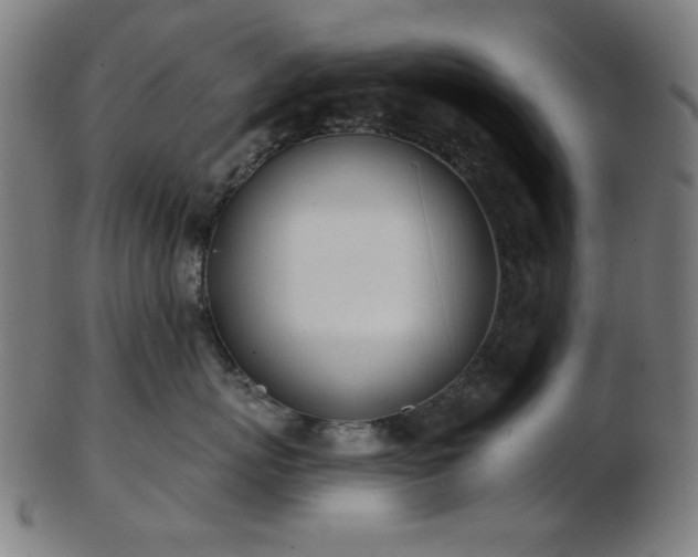 X0000103460767200809121603