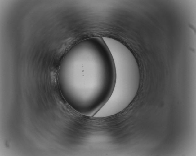 X0000103460768200809121603