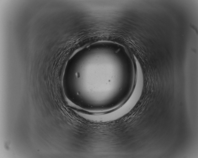 X0000103460769200809121603