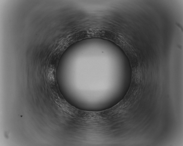 X0000103460770200809121603