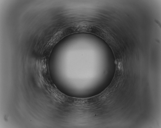 X0000103460771200809121603