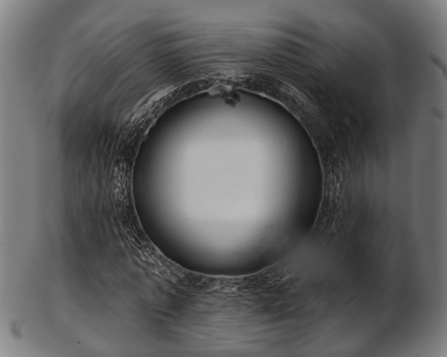 X0000103460773200809121603