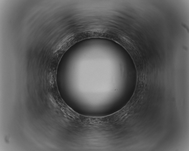 X0000103460774200809121602
