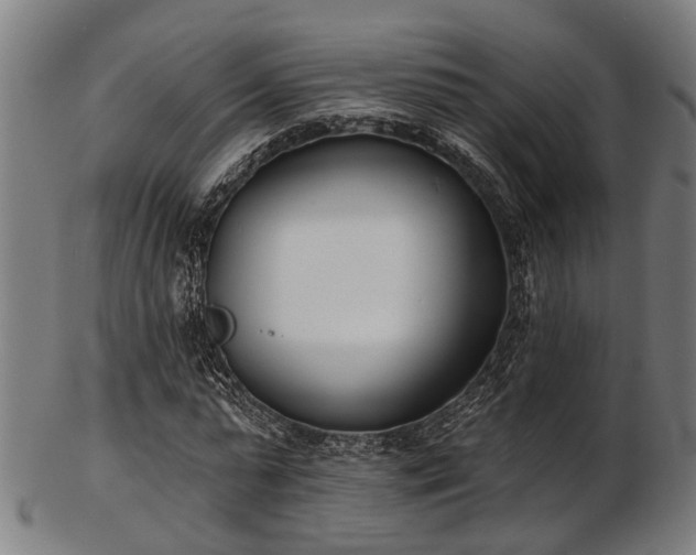 X0000103460775200809121602