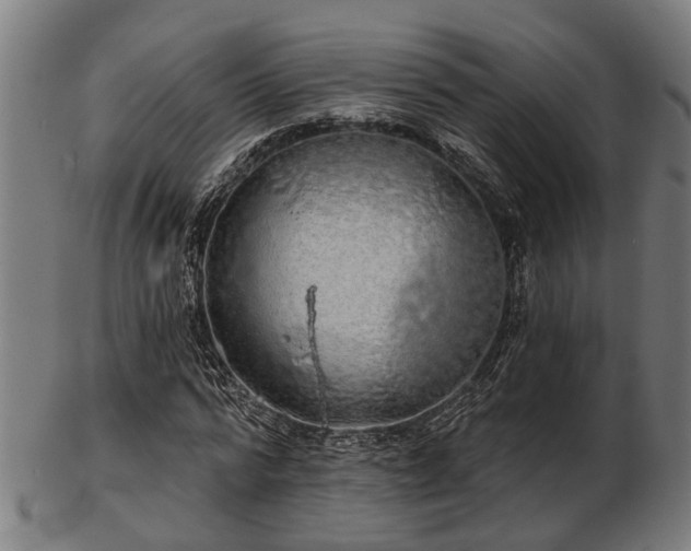 X0000103460776200809121602