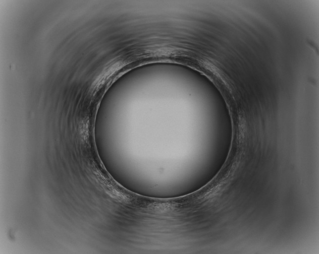 X0000103460778200809121602
