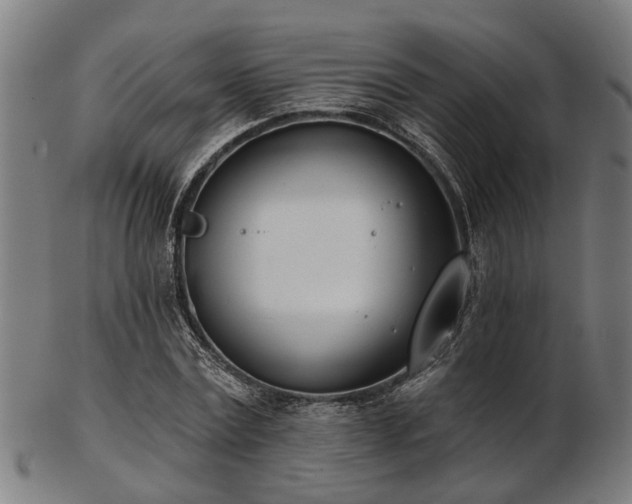 X0000103460779200809121602