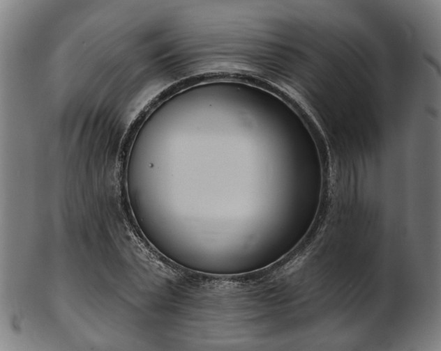 X0000103460783200809121602