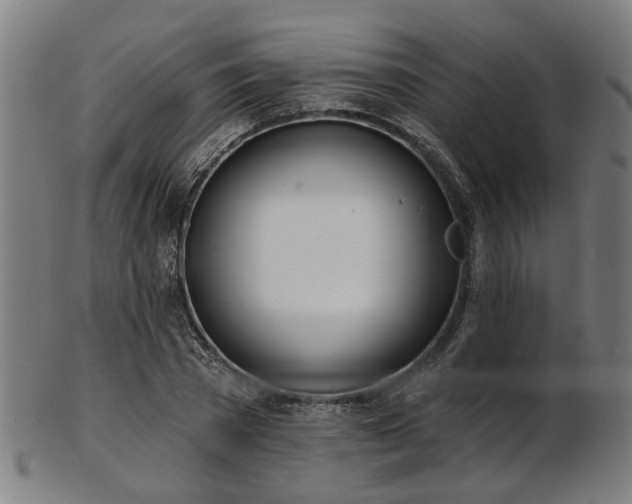 X0000103460785200809121602