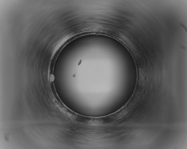 X0000103460788200809121602