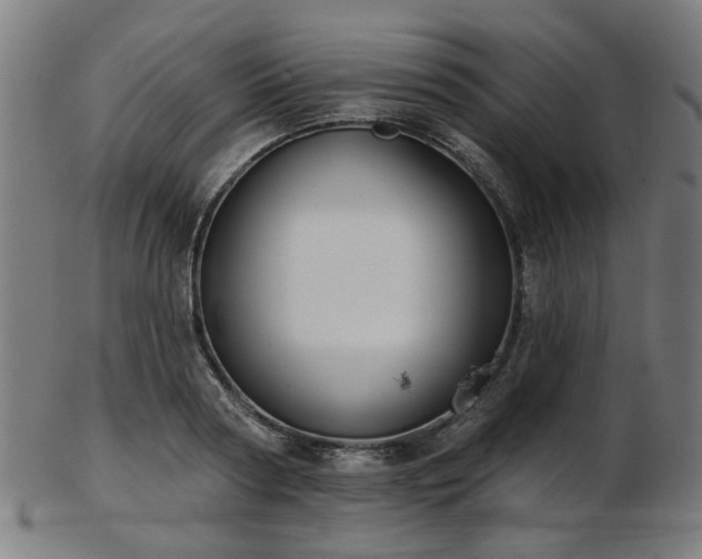 X0000103460794200809121602