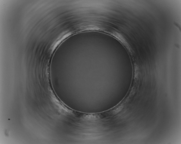 X0000103460806200809121602