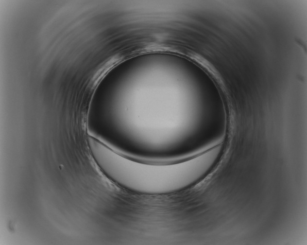 X0000103460809200809121602