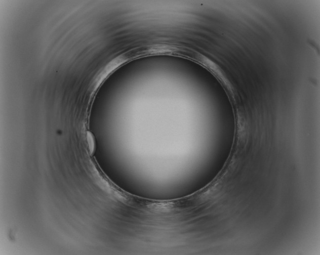 X0000103460810200809121602