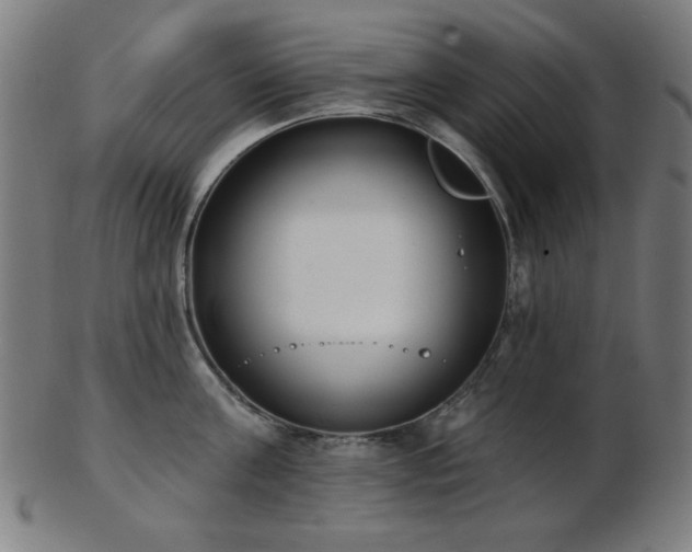 X0000103460811200809121602