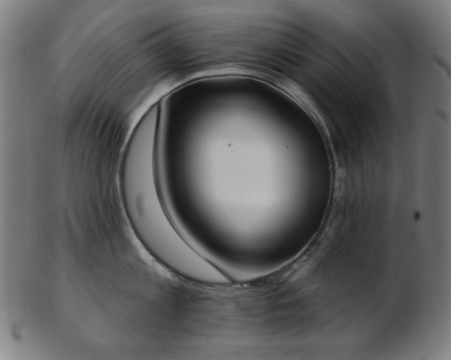 X0000103460813200809121602