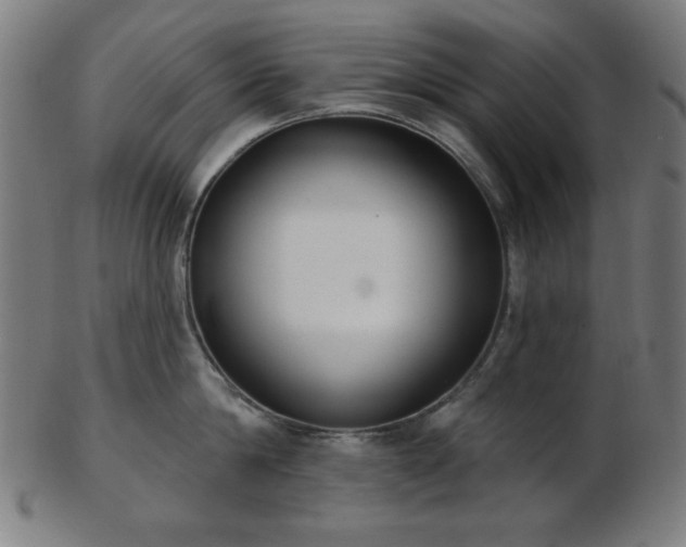 X0000103460814200809121602