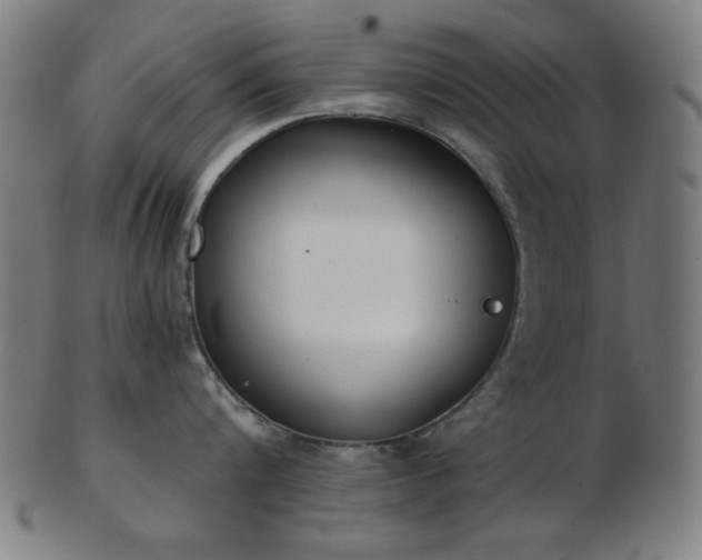 X0000103460816200809121602