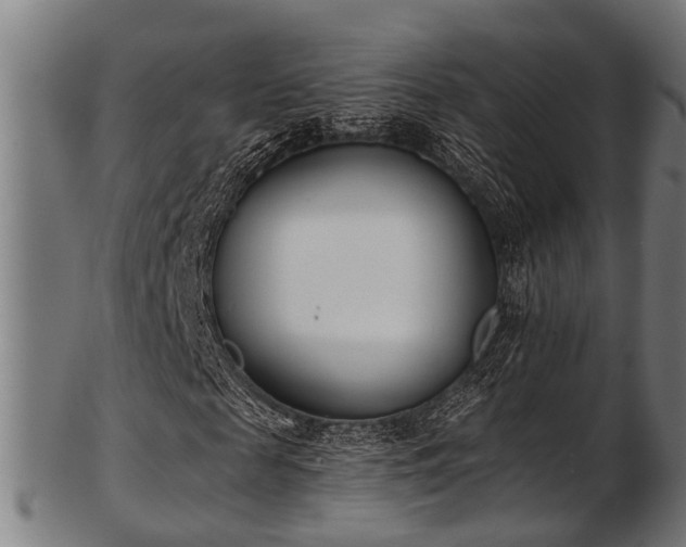 X0000103460817200809121601
