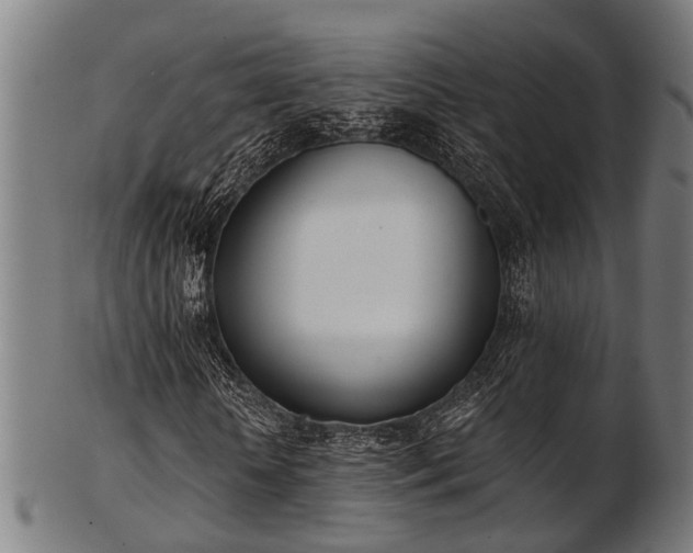 X0000103460818200809121601