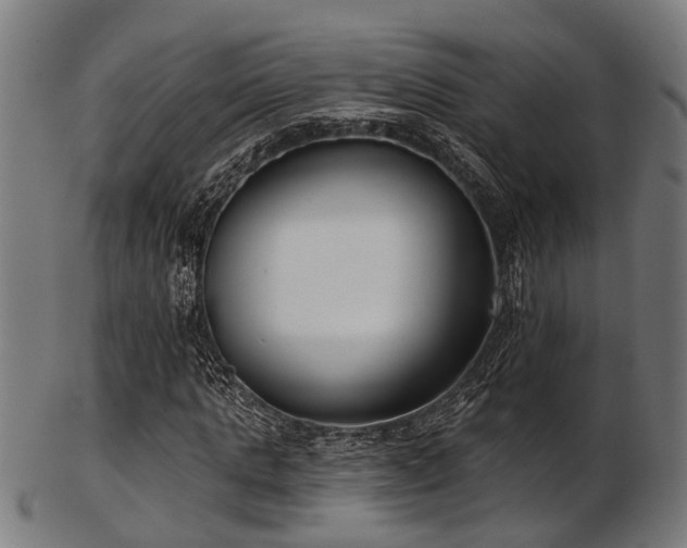 X0000103460821200809121601