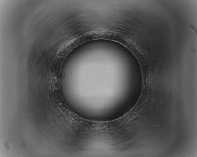 X0000103460822200809121601