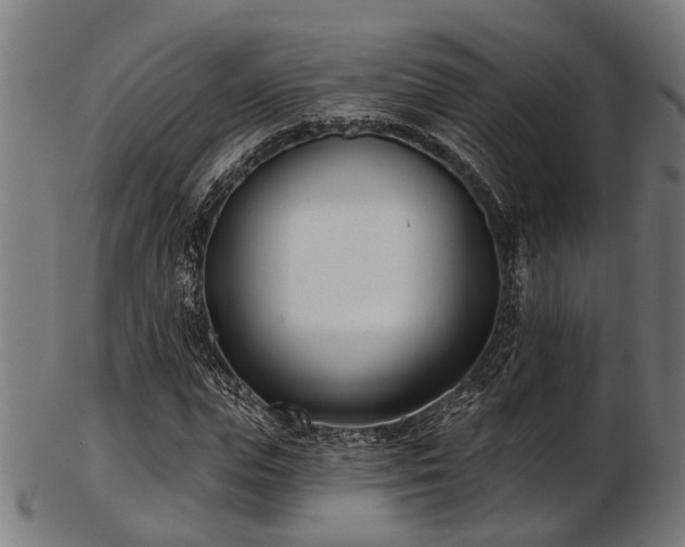 X0000103460823200809121601