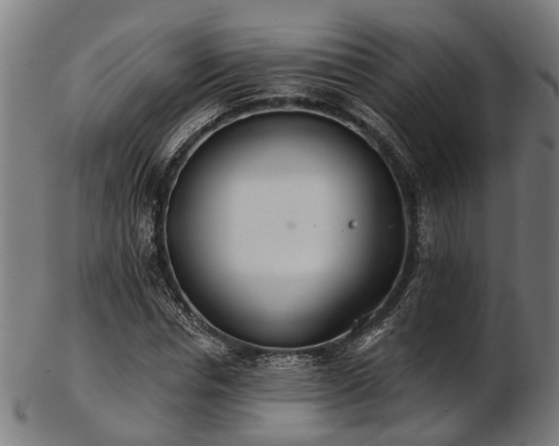 X0000103460826200809121601