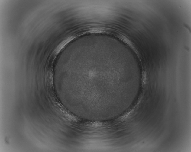 X0000103460829200809121601
