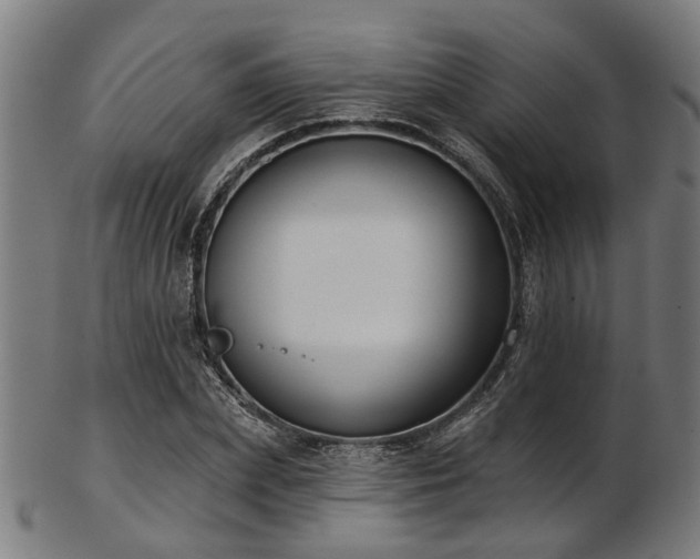 X0000103460831200809121601