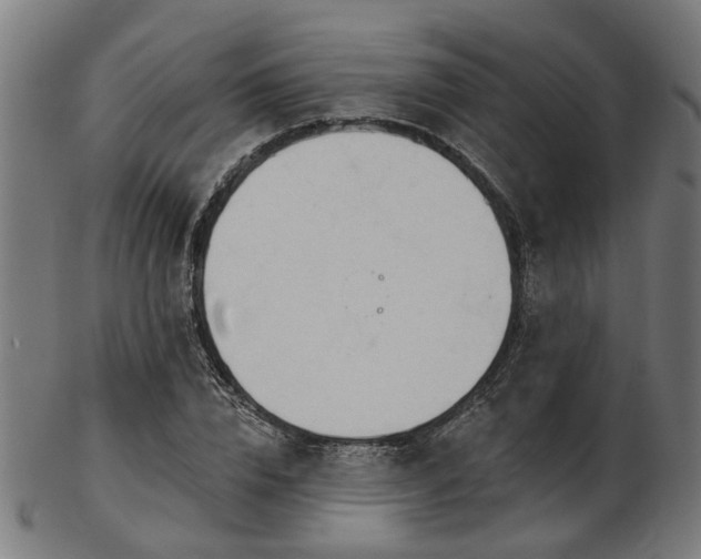 X0000103460832200809121601