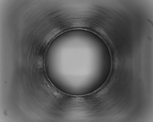 X0000103460833200809121601
