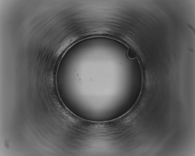 X0000103460834200809121601