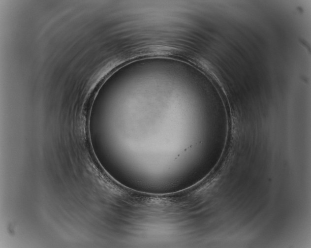 X0000103460835200809121601