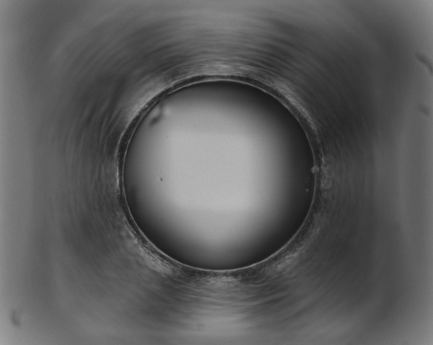 X0000103460837200809121601