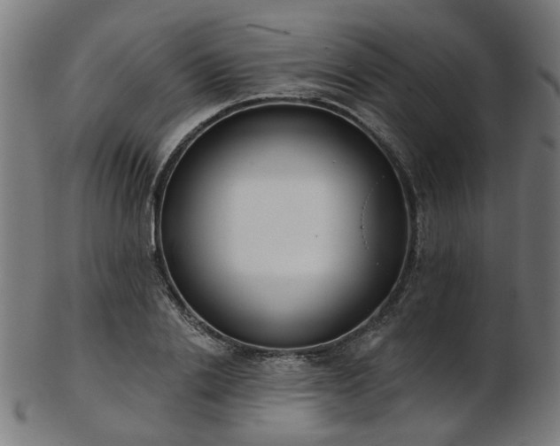 X0000103460838200809121601