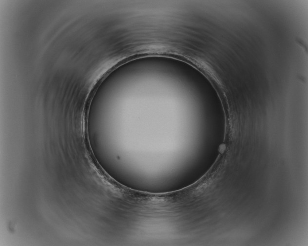 X0000103460839200809121601